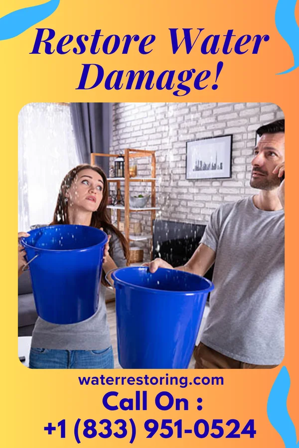 water restoration Local Restoration Contractors Port Richey